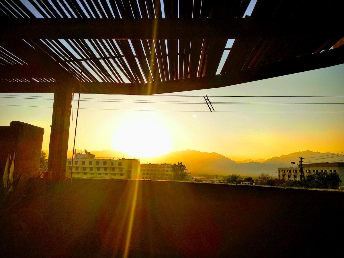 White House Eilat